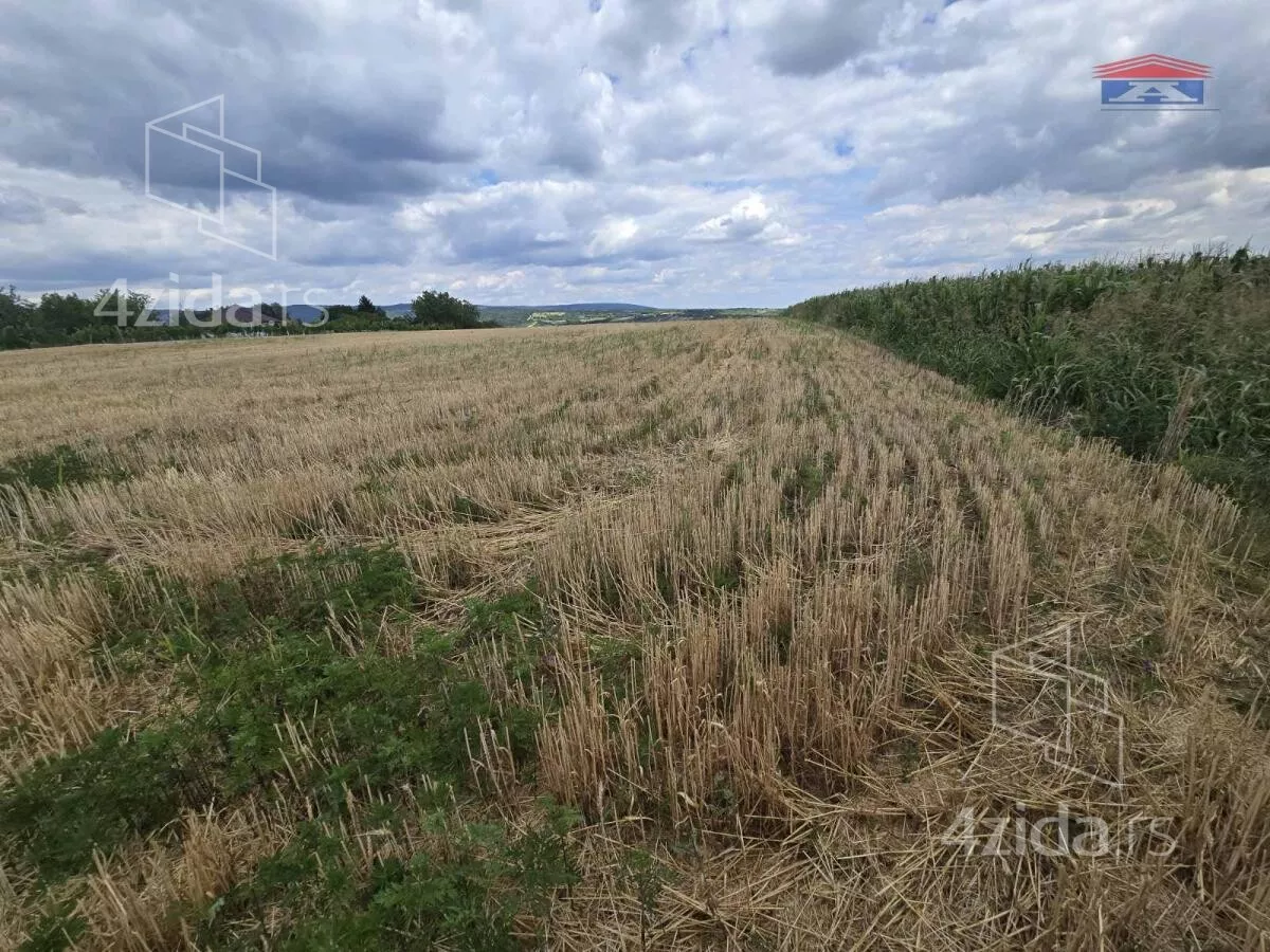 Plac | 4zida