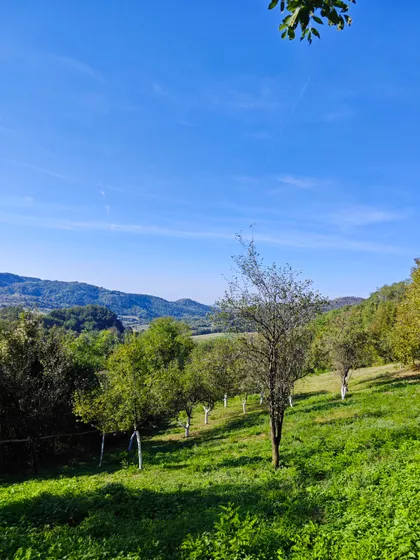 Trudelj | 4zida.rs