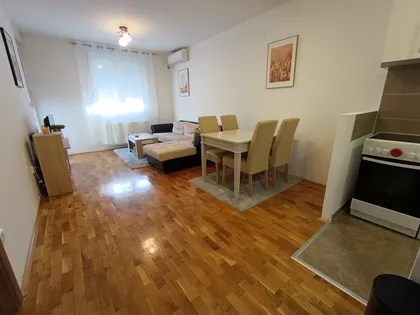 Dr Svetislava Kasapinovića | 4zida.rs
