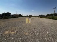 Čenej, Okolne lokacije, Novi Sad | 4zida.rs