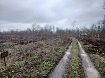 Crna Bara | 4zida.rs