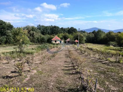 Solunskih ratnika | 4zida.rs