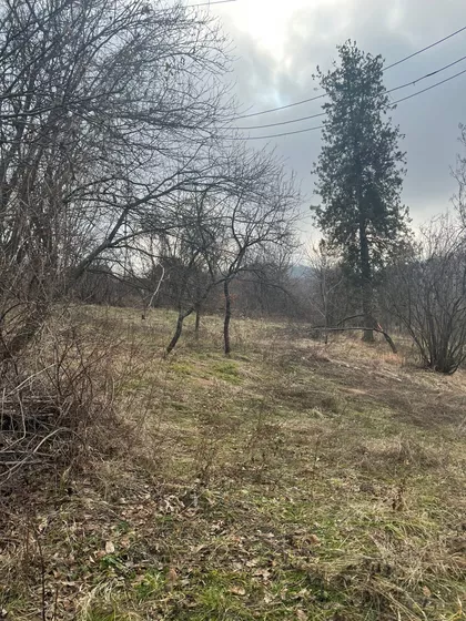 Dragobraća | 4zida.rs