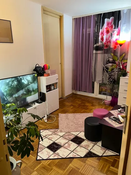 Bulevar Arsenija Čarnojevića | 4zida.rs