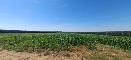Novi Slankamen | 4zida.rs