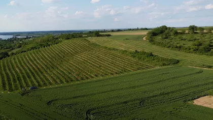 Duga Međa | 4zida.rs