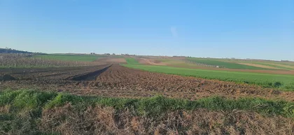 Fruškogorska | 4zida.rs