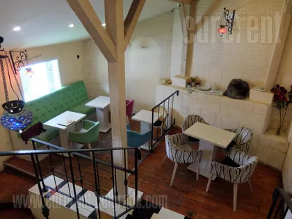 ZELENI VENAC | 4zida.rs