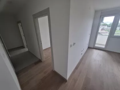 Salajka | 4zida.rs