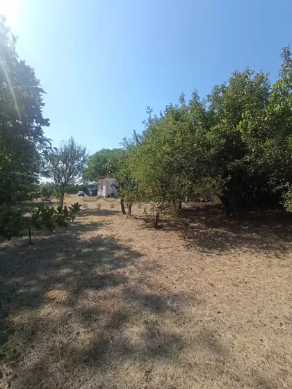 Gornja vrežina | 4zida.rs