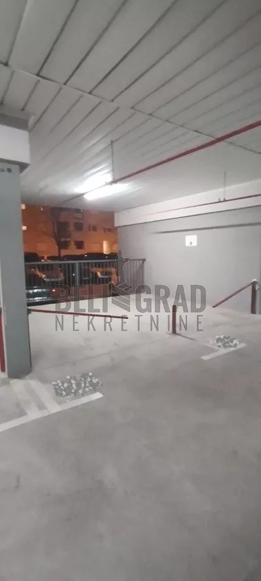 Mileve Marić Ajnštajn