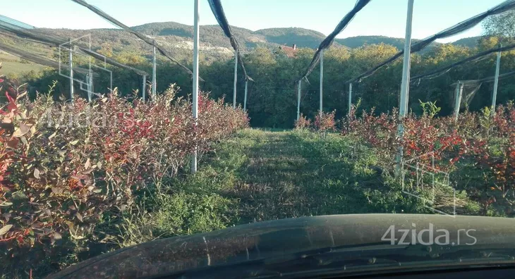 Poljoprivredno zemljište | 4zida