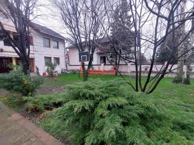 Lipov Gaj