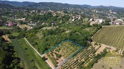Sremska Kamenica | 4zida.rs