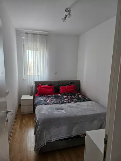 Cara Dušana | 4zida.rs