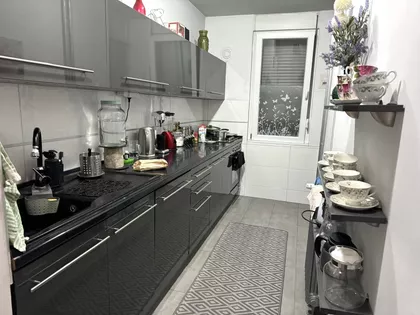 Novo Naselje | 4zida.rs