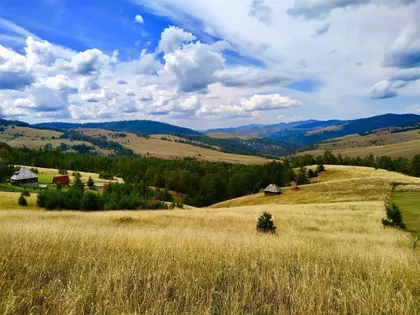 Tornik | 4zida.rs