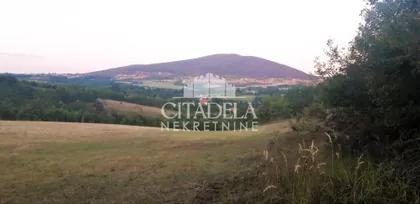 Rogača | 4zida.rs
