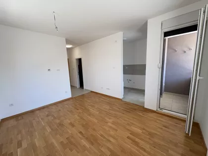 Vatroslava Jagića | 4zida.rs