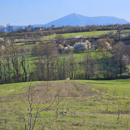 Gradske lokacije | 4zida.rs