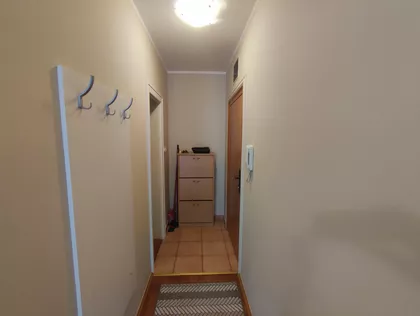 Ilije Birčanina | 4zida.rs