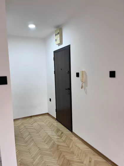 Cara Dušana | 4zida.rs