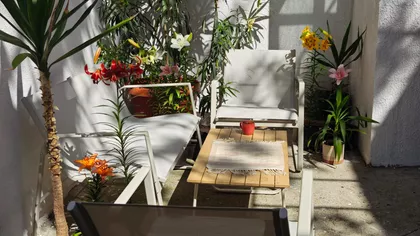 Živka Davidovića 109 | 4zida.rs