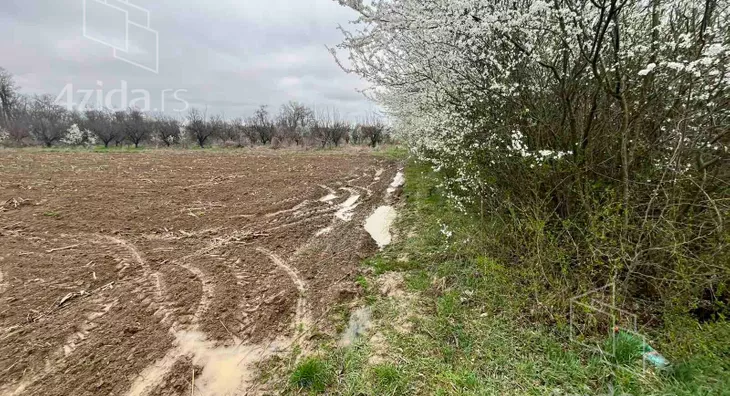 Poljoprivredno zemljište | 4zida