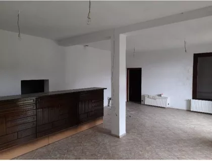 Cara Dušana | 4zida.rs