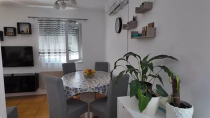 Borča | 4zida.rs