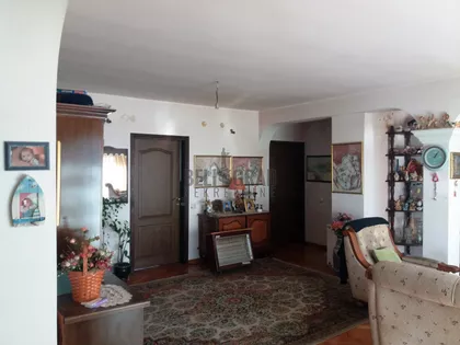 Ljubomira Ivkovića Šuce | 4zida.rs