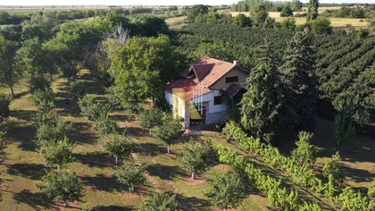 Okolne lokacije | 4zida.rs