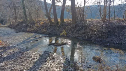 Orašje  | 4zida.rs