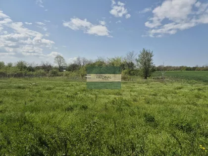 Vinorača | 4zida.rs