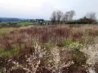 Plac | 4zida