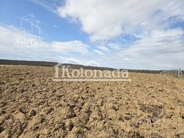 Poljoprivredno zemljište | 4zida