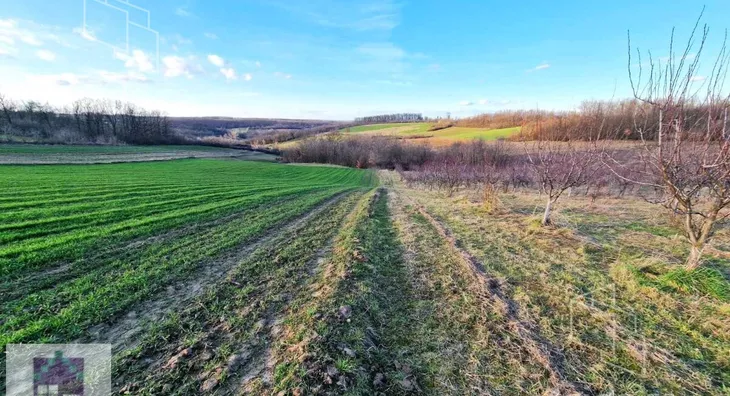 Poljoprivredno zemljište | 4zida