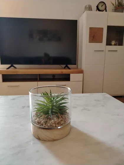 Cara Dušana 36 | 4zida.rs