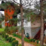 Centar, Gradske lokacije, Zlatibor | 4zida.rs | 4zida.rs
