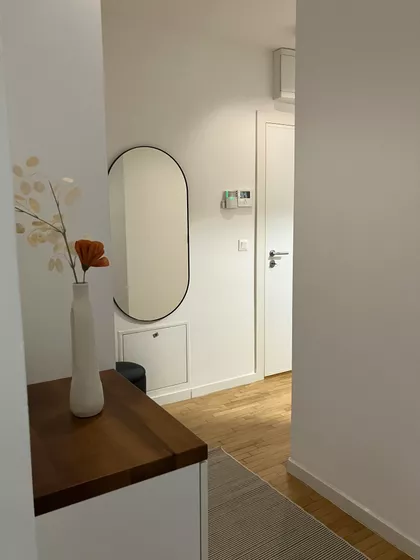 Vase Pelagića | 4zida.rs