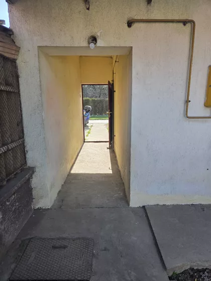 Vase Pelagića | 4zida.rs