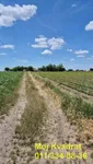 Ugostiteljski objekat | 4zida