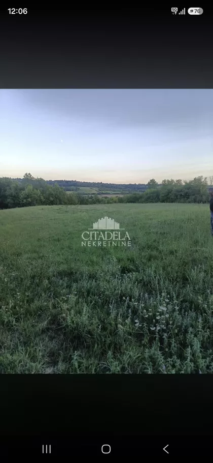 Milana Mijailovića Miće | 4zida.rs