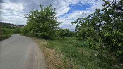 Ritopek | 4zida.rs