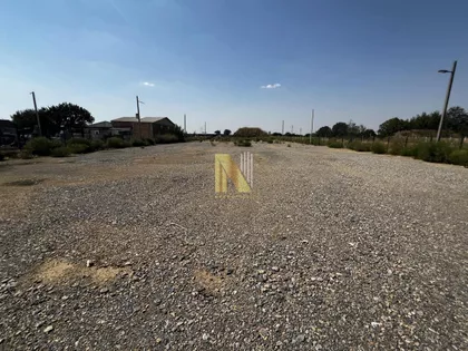Čenej | 4zida.rs