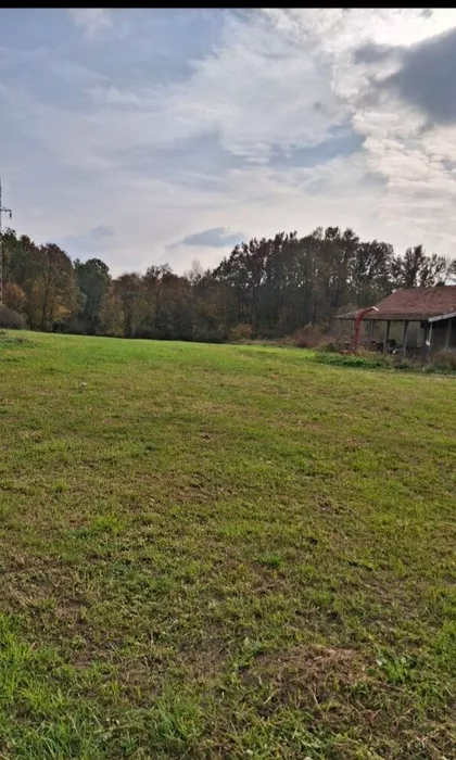 Jovana Bojovića | 4zida.rs