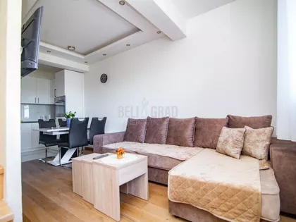 Dr Dragoslava Zeka Smiljanića | 4zida.rs