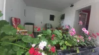 Telep, Gradske lokacije, Novi Sad | 4zida.rs | 4zida.rs