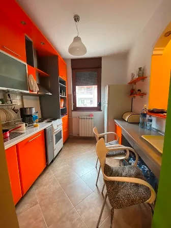 Ulofa Palmea | 4zida.rs