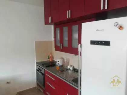 Nova Detelinara | 4zida.rs